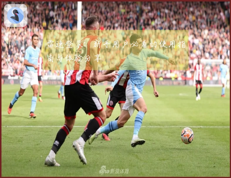 雷速登录：新手用户必看的使用指南与体验分享